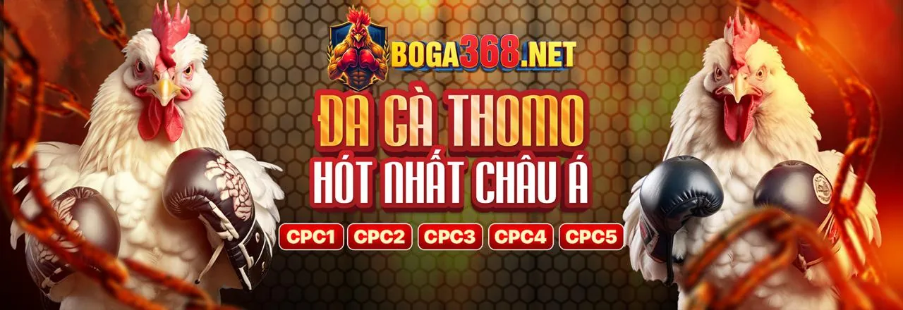 Mẹo và chiến lược để tăng khả năng trúng Jackpot tại Tik88 Win