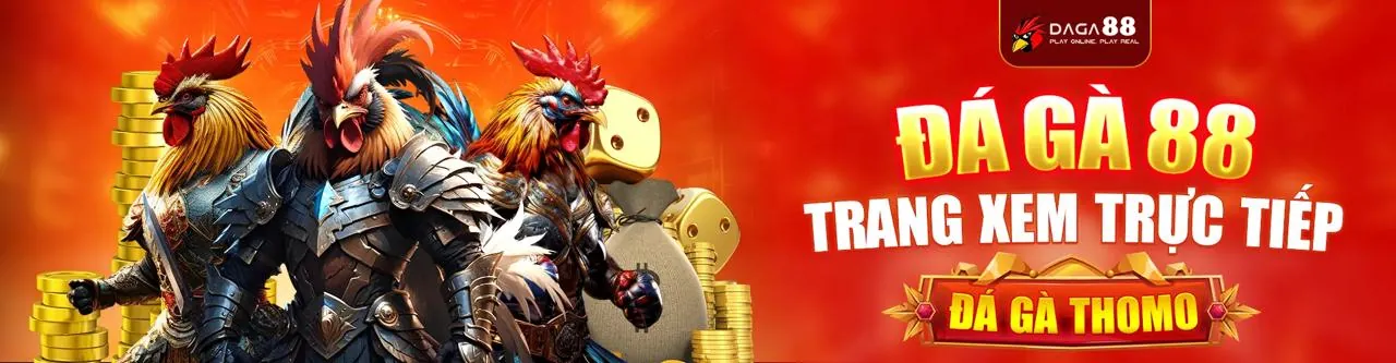 Đá Gà Trực Tuyến Hấp Dẫn tại Tik88 Win